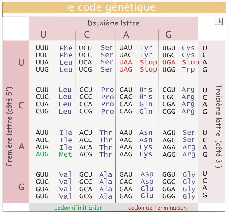 le code trikapalanet